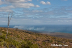 Volcanos National Park Chain of Craters Drive