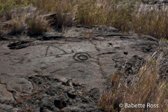 Volcanos National Park Pu'uloa Petroglyphs