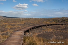Volcanos National Park Pu'uloa Petroglyphs