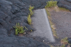 Volcanos National Park