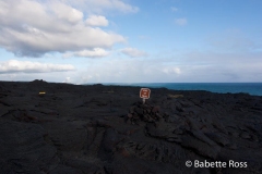Volcanos National Park