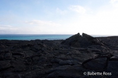 Volcanos National Park Lava Field