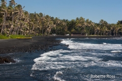 Punalu'u Black Sand Beach