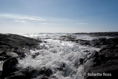 Punalu'u Black Sand Beach