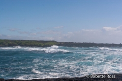 Punalu'u Black Sand Beach