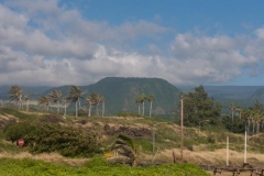Punalu'u Black Sand Beach