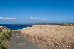 Ka Lae