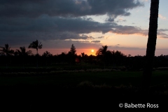 Waikoloa
