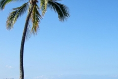 Waikoloa