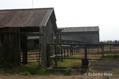 Parker Ranch