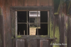 Parker Ranch