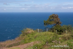 Waipi'o Valley