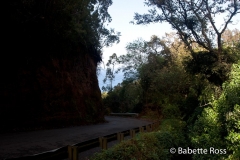 Waipi'o Valley