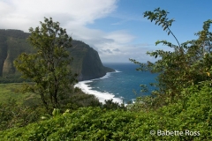 Waipi'o Valley