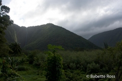 Waipi'o Valley