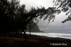 Waipi'o Valley