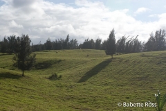 Waipi'o Valley