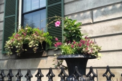 Charles St