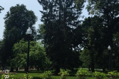 Boston Common