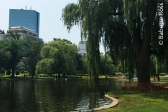 Boston Common