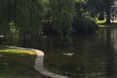 Boston Common