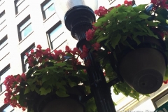 Flowered Lamppost