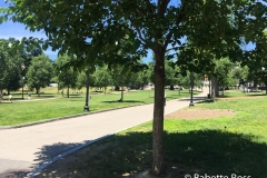 Boston Common