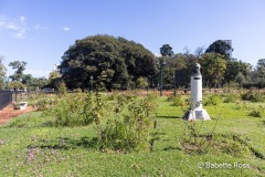 20250418_226