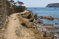 Path