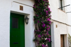 Green Door, Pink Flowers