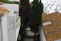 Roofs