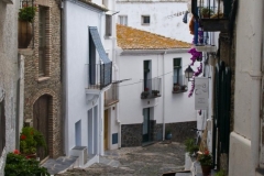 Street