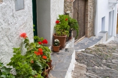 Street