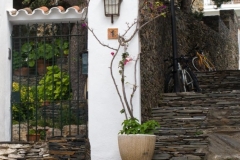 Steps
