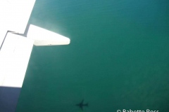 Flying into Cairns