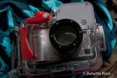 Underwater Gear