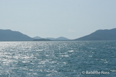Green Island