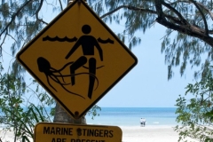 Daintree - Myall Beach - Stick Figure In Peril