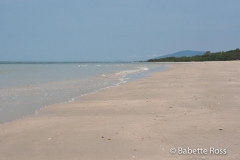 Daintree - Myall Beach