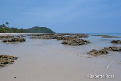 Daintree - Myall Beach