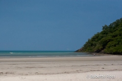 Cape Tribulation