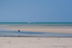 Cape Tribulation