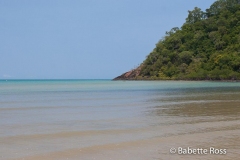 Cape Tribulation