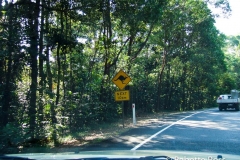 Kangaroo Crossing Sign