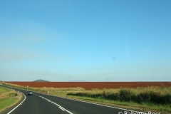 Atherton Tablelands
