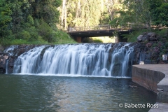 Atherton Tablelands -,Malanda Falls