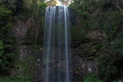 Atherton Tablelands -,Millaa Milaa Falls