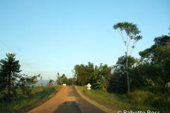 Atherton Tablelands