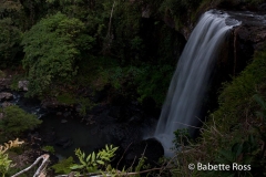 Atherton Tablelands - Zillie Falls