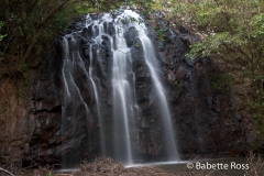 Atherton Tablelands -, Elinjaa Falls